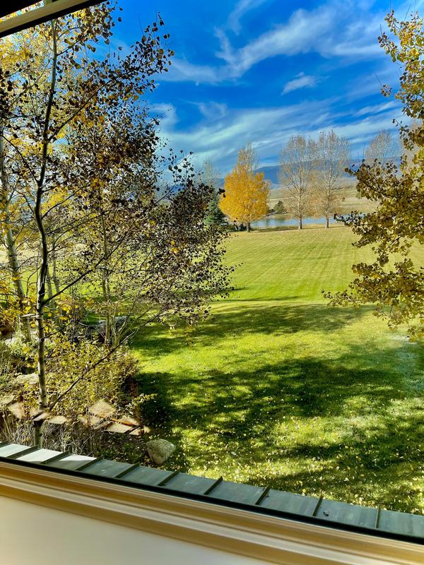 Autumn trees and lawn seen from inside a client home