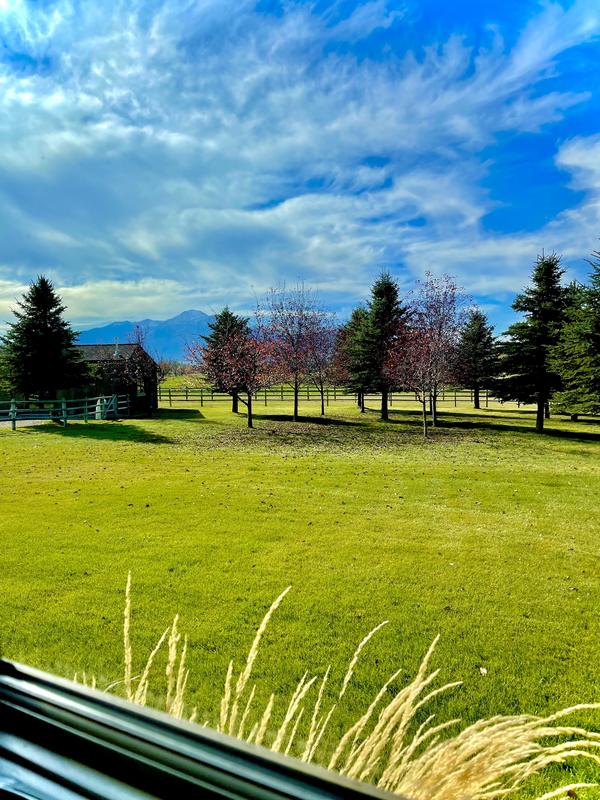 Green pasture and mountains beyond a client window